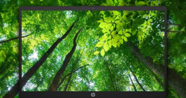 HP 15.6-Inch Touchscreen Laptop Review – A Reliable Companion for Work, Study and Everyday Use